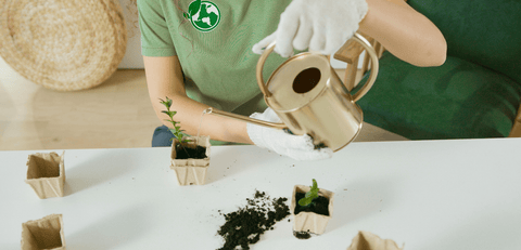 Quand et comment installer des engrais verts en permaculture ?